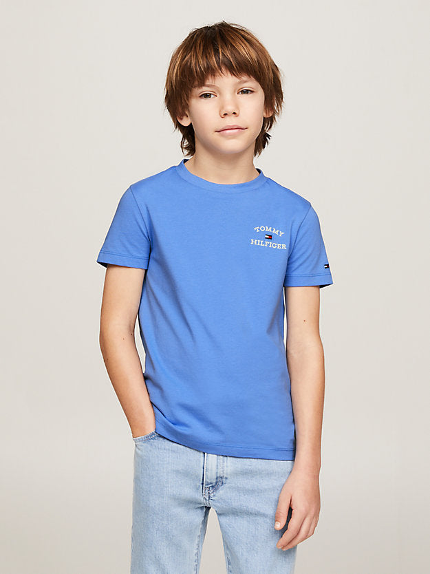 TOMMY HILFIGUER NIÑO TSHIRT LOGO BLUE SPELL