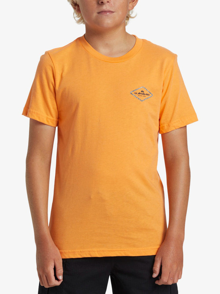 QUIKSILVER NIÑO TSHIRT OMNI LOCK BT0