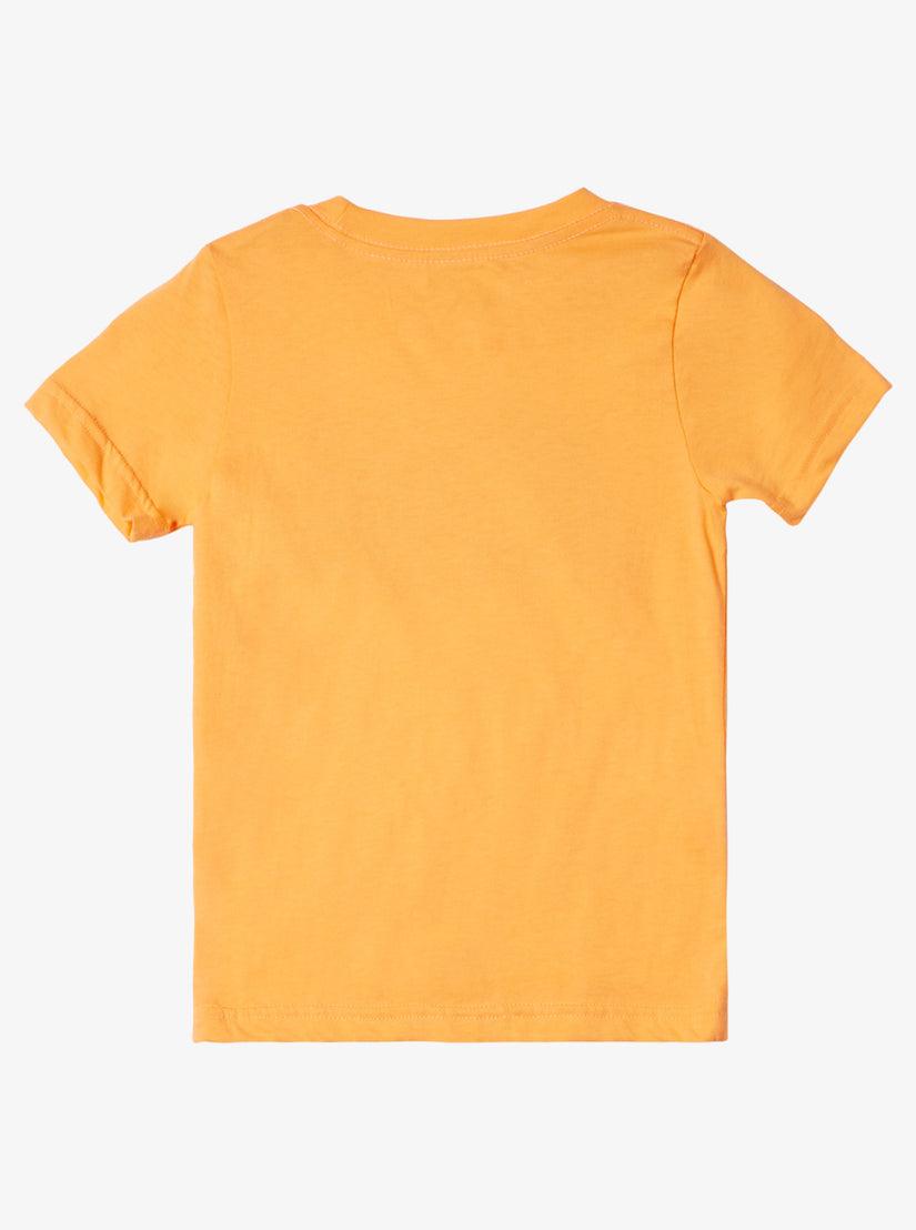 QUIKSILVER NIÑO TSHIRT DAY TRIPPER